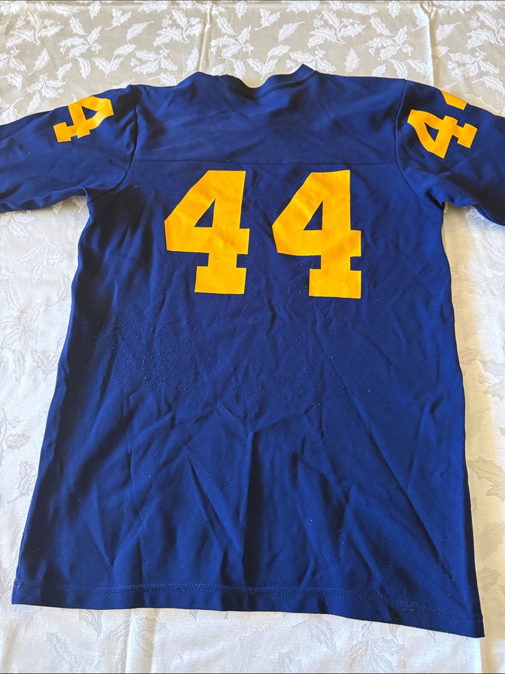 University of Michigan Adult M Blue & Yellow Football Jersey - #44 - Picture 3 of 5